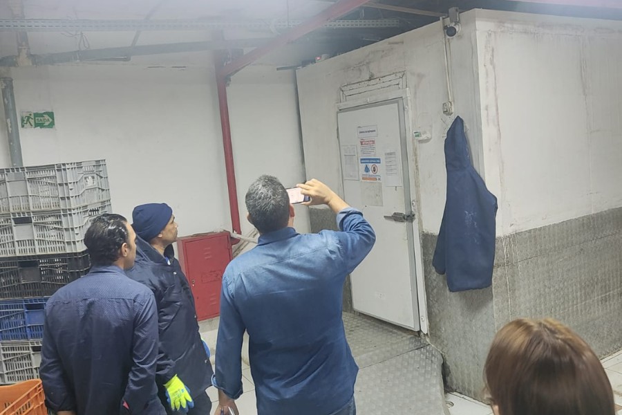 Vistoria técnica em campo